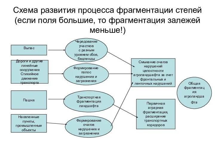 Схема развития процесса фрагментации степей (если поля большие, то фрагментация залежей