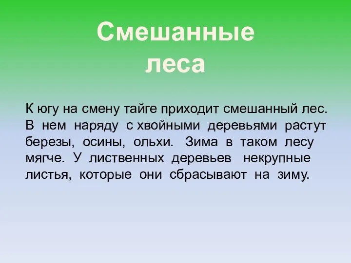 Смешанные леса К югу на смену тайге приходит смешанный лес. В