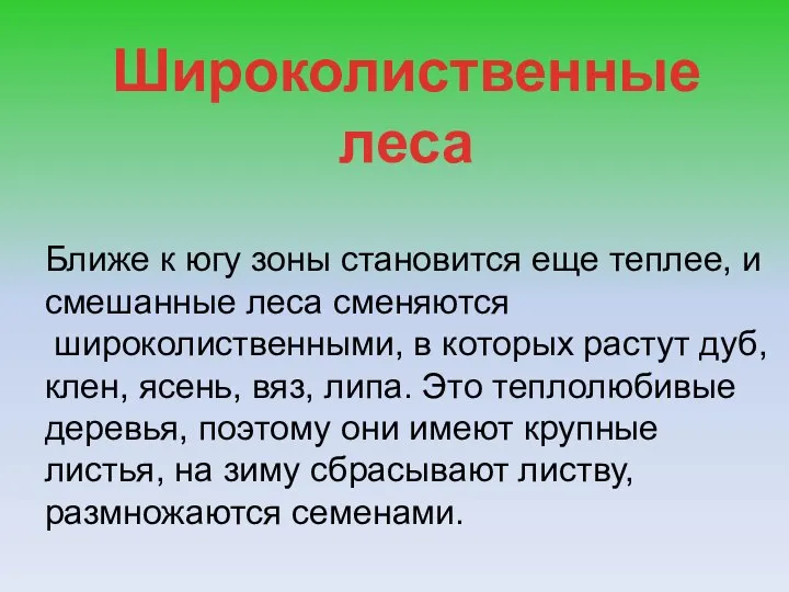 Широколиственные леса Ближе к югу зоны становится еще теплее, и смешанные