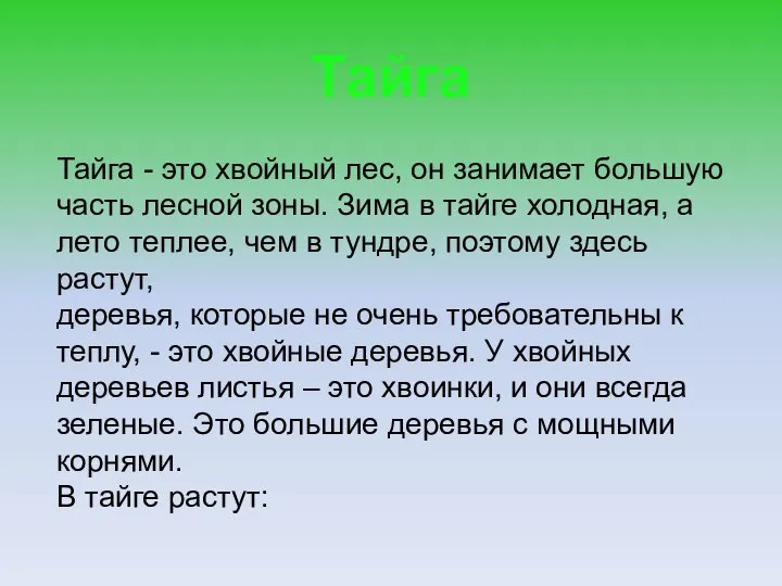 Тайга Тайга - это хвойный лес, он занимает большую часть лесной