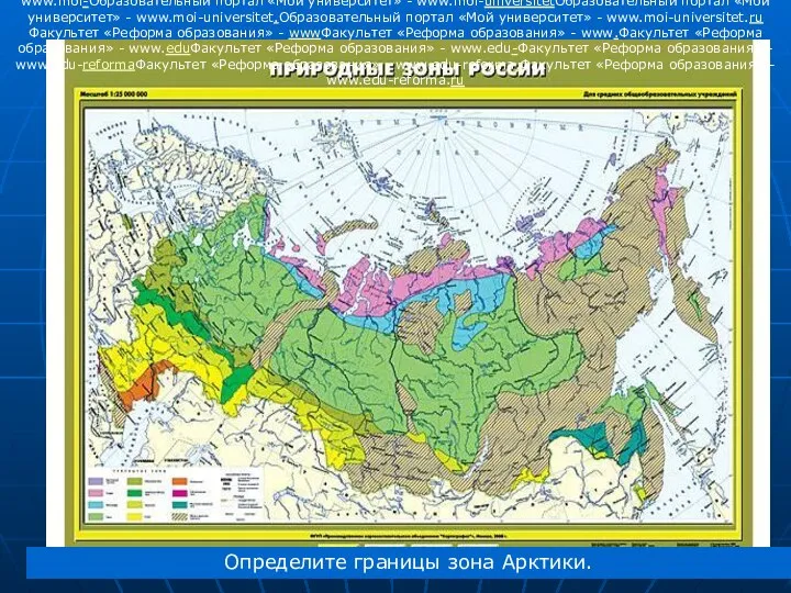 Определите границы зона Арктики. Образовательный портал «Мой университет» - wwwОбразовательный портал