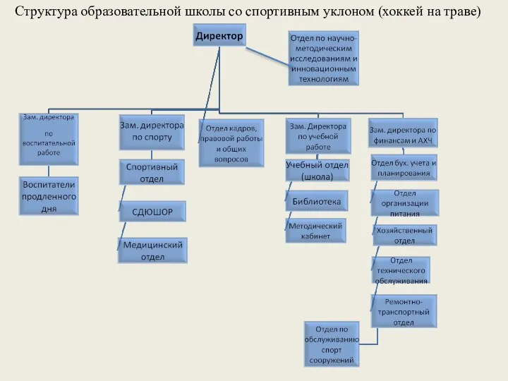 Структура образовательной школы со спортивным уклоном (хоккей на траве)