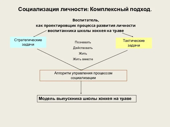 Социализация личности: Комплексный подход. Воспитатель, как проектировщик процесса развития личности воспитанника