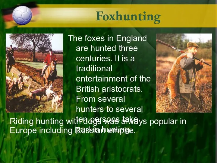 Foxhunting The foxes in England are hunted three centuries. It is