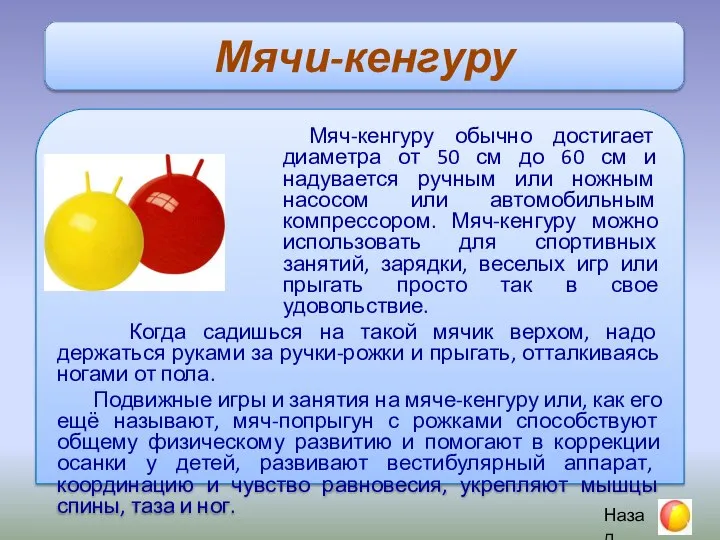 Мячи-кенгуру Мяч-кенгуру обычно достигает диаметра от 50 см до 60 см