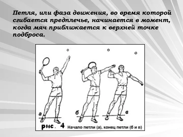 Петля, или фаза движения, во время которой сгибается предплечье, начинается в