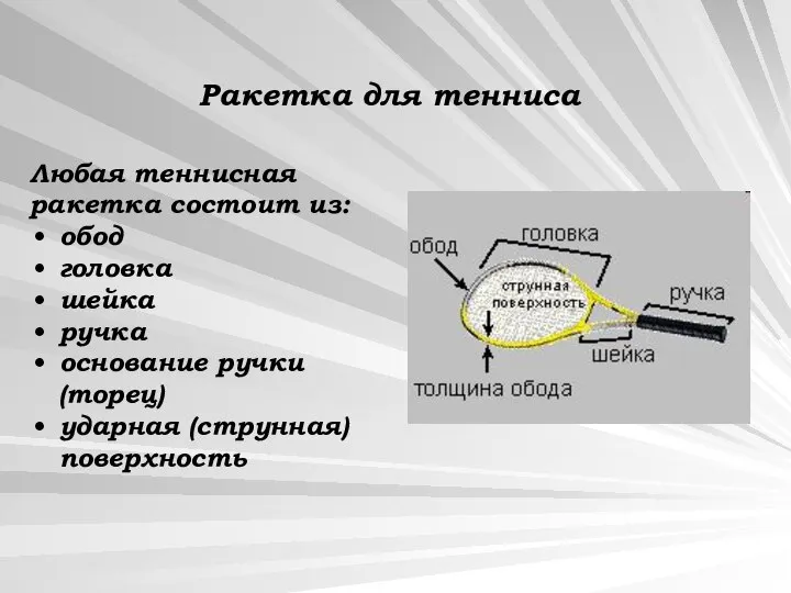 Любая теннисная ракетка состоит из: обод головка шейка ручка основание ручки