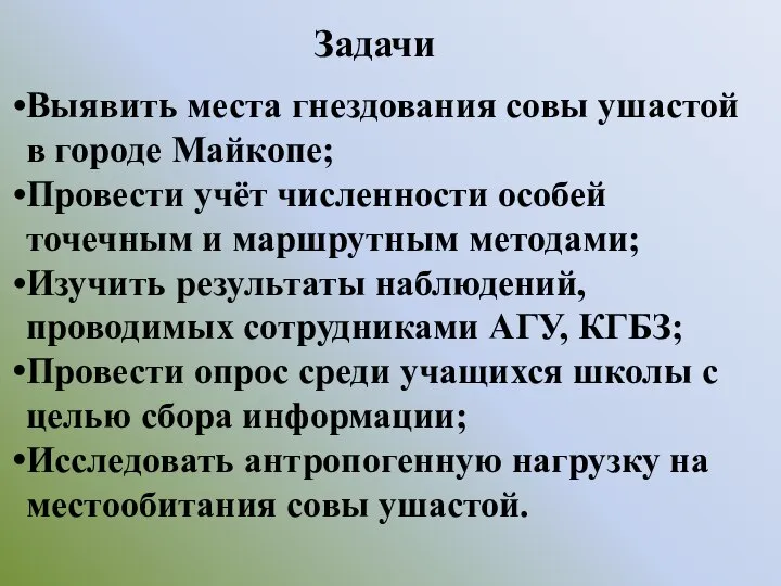 Задачи Выявить места гнездования совы ушастой в городе Майкопе; Провести учёт