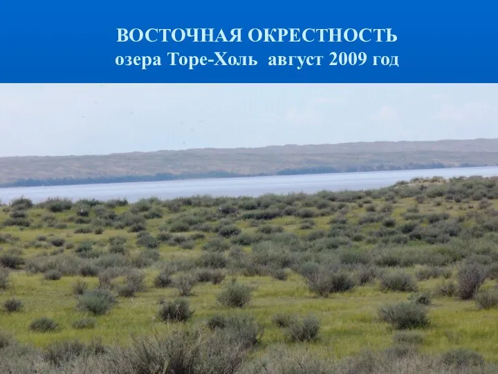 ВОСТОЧНАЯ ОКРЕСТНОСТЬ озера Торе-Холь август 2009 год