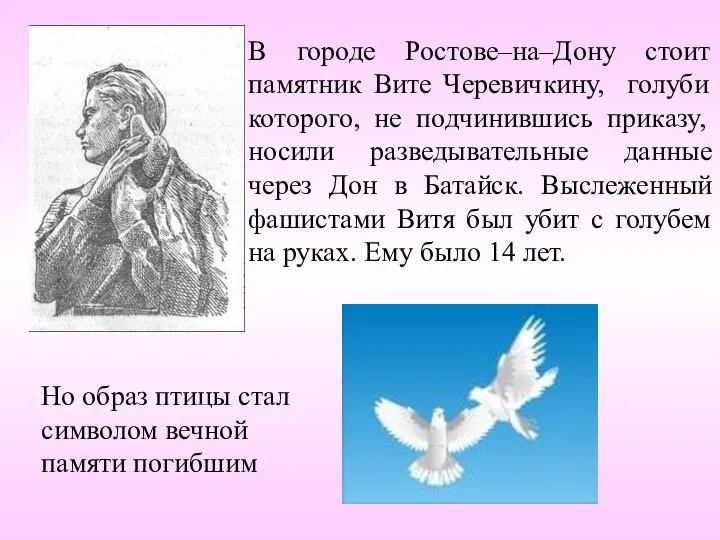 В городе Ростове–на–Дону стоит памятник Вите Черевичкину, голуби которого, не подчинившись