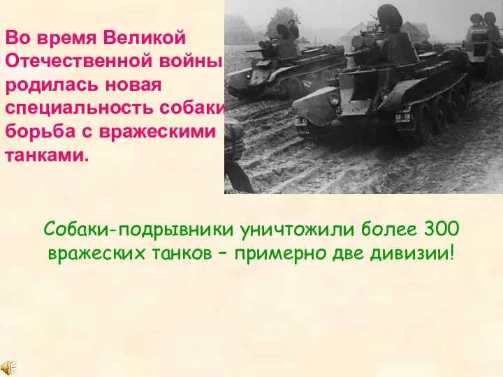 Во время Великой Отечественной войны родилась новая специальность собаки: борьба с