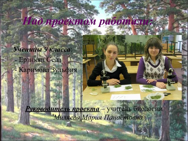 Ученицы 9 класса: - Ерзнкян Седа - Каримова Зульфия Над проектом