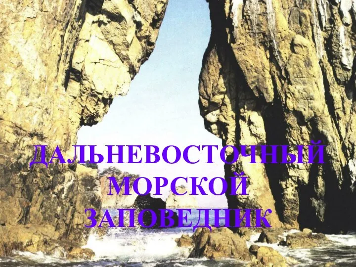 ДАЛЬНЕВОСТОЧНЫЙ МОРСКОЙ ЗАПОВЕДНИК