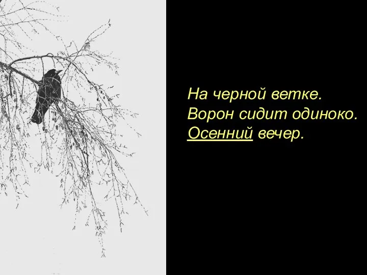 На черной ветке. Ворон сидит одиноко. Осенний вечер.