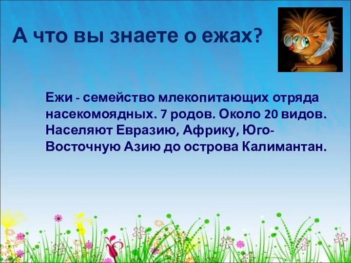 А что вы знаете о ежах? Ежи - семейство млекопитающих отряда