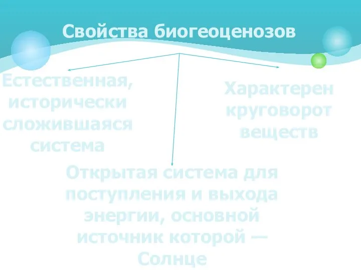 Свойства биогеоценозов Естественная, исторически сложившаяся система Характерен круговорот веществ Открытая система