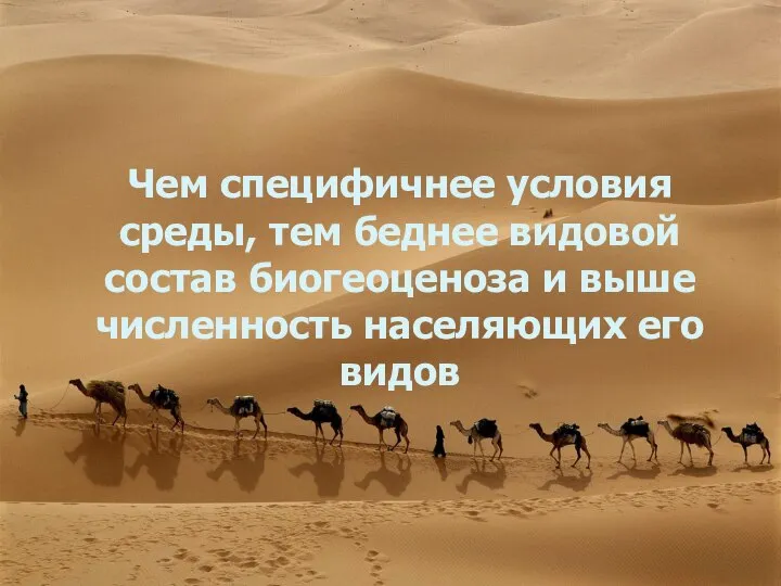 Чем специфичнее условия среды, тем беднее видовой состав биогеоценоза и выше численность населяющих его видов