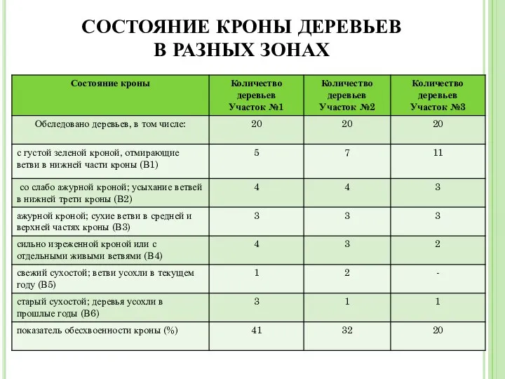 СОСТОЯНИЕ КРОНЫ ДЕРЕВЬЕВ В РАЗНЫХ ЗОНАХ