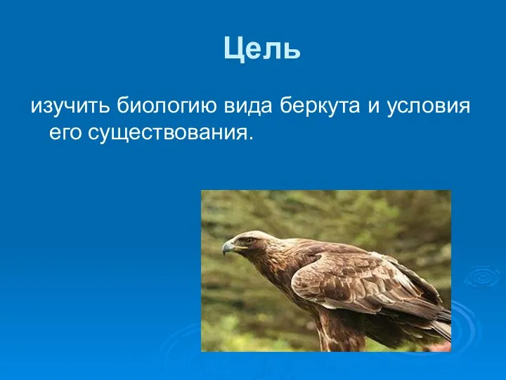 Цель изучить биологию вида беркута и условия его существования.