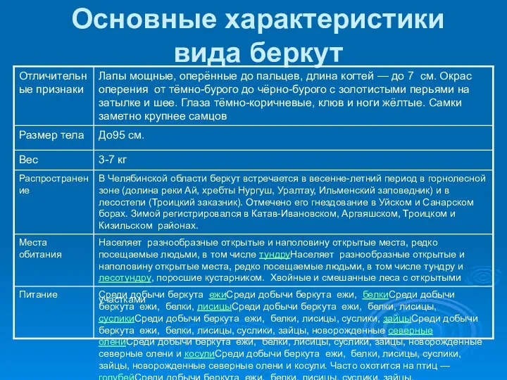 Основные характеристики вида беркут