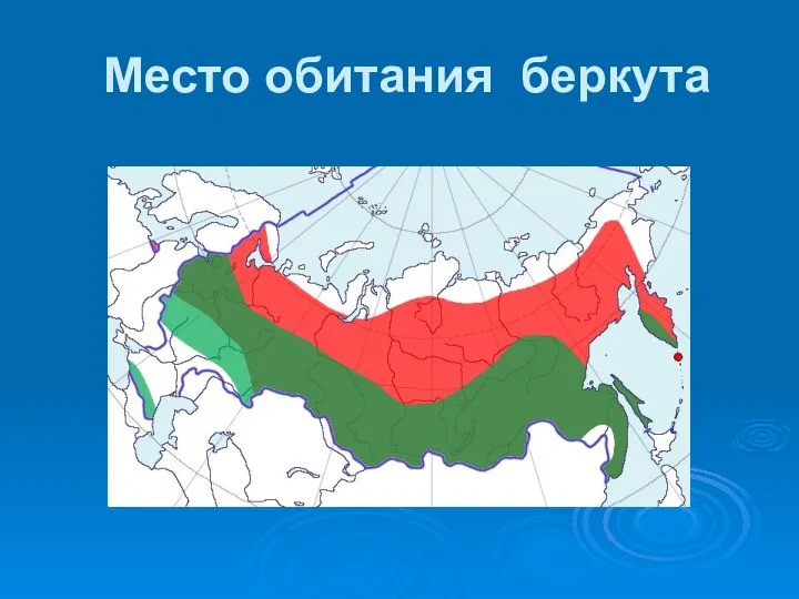 Место обитания беркута