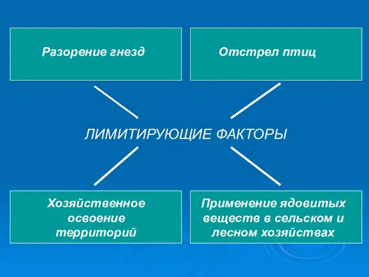 ЛИМИТИРУЮЩИЕ ФАКТОРЫ Разорение гнезд Отстрел птиц Хозяйственное освоение территорий Применение ядовитых