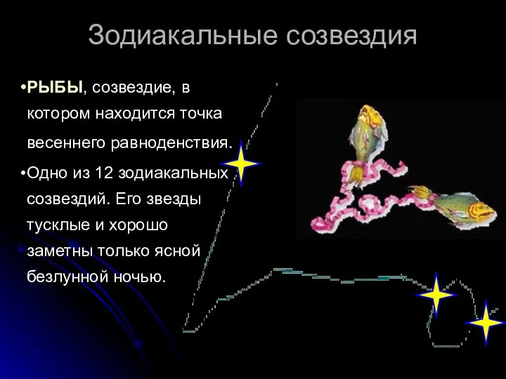 Зодиакальные созвездия РЫБЫ, созвездие, в котором находится точка весеннего равноденствия. Одно