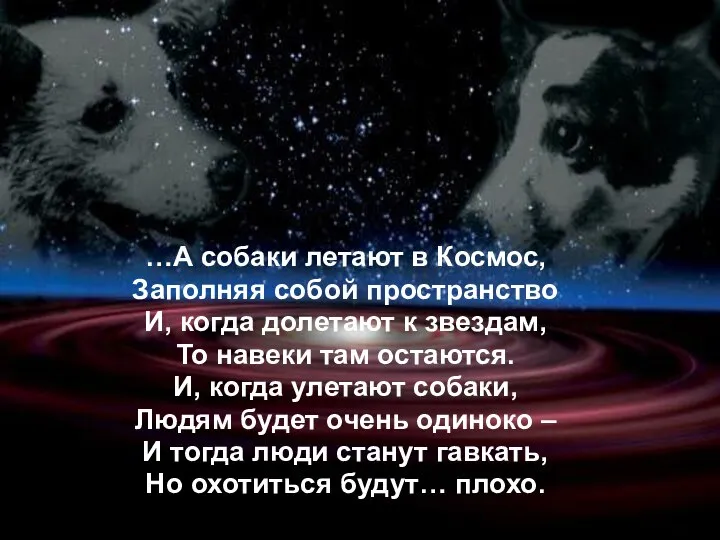 …А собаки летают в Космос, Заполняя собой пространство И, когда долетают