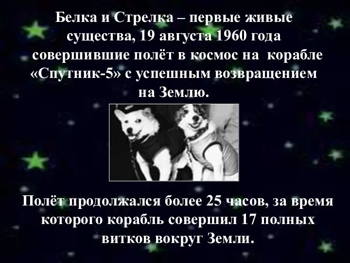 Белка и Стрелка – первые живые существа, 19 августа 1960 года