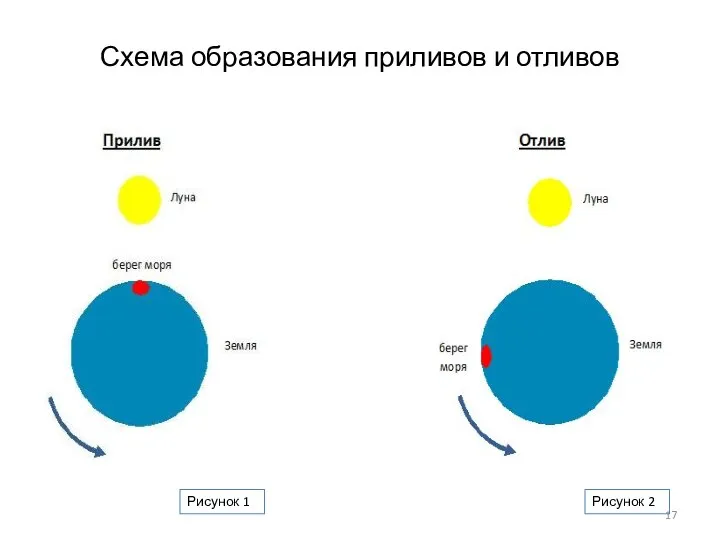 Схема образования приливов и отливов Рисунок 1 Рисунок 2