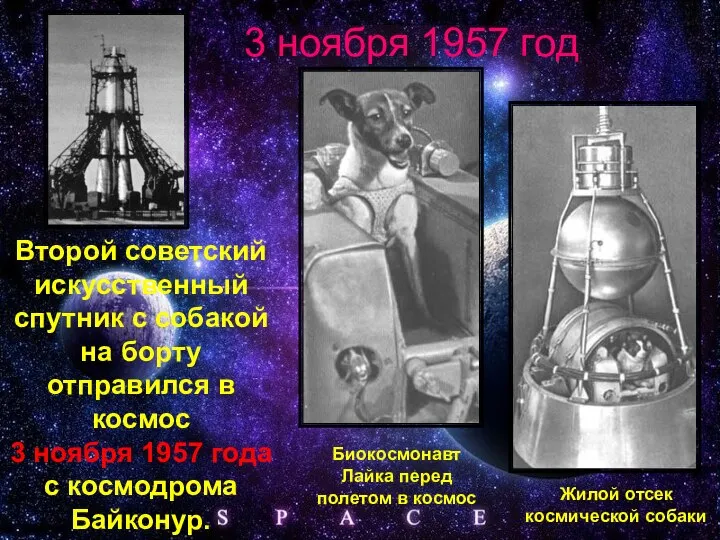 Второй советский искусственный спутник с собакой на борту отправился в космос