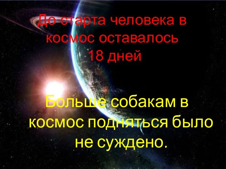 До старта человека в космос оставалось 18 дней Больше собакам в космос подняться было не суждено.