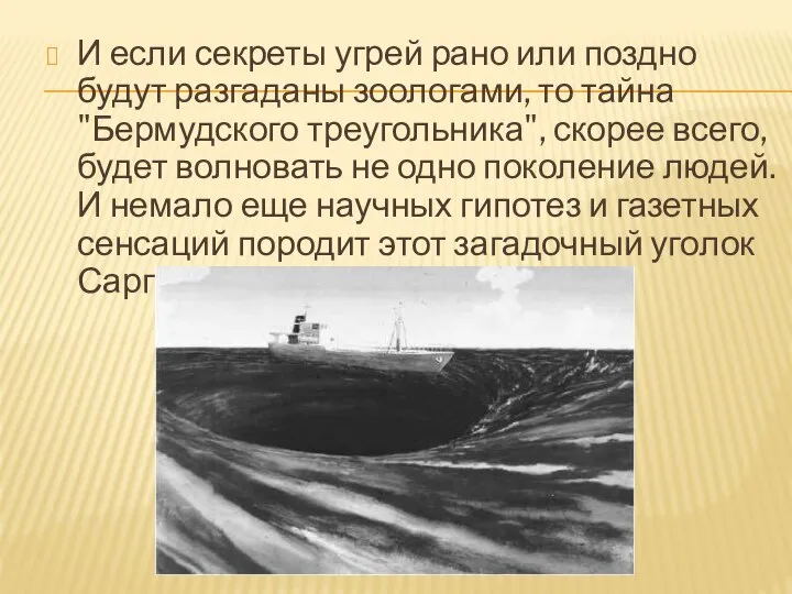 И если секреты угрей рано или поздно будут разгаданы зоологами, то