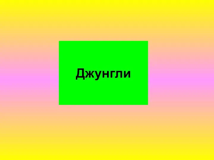 Джунгли