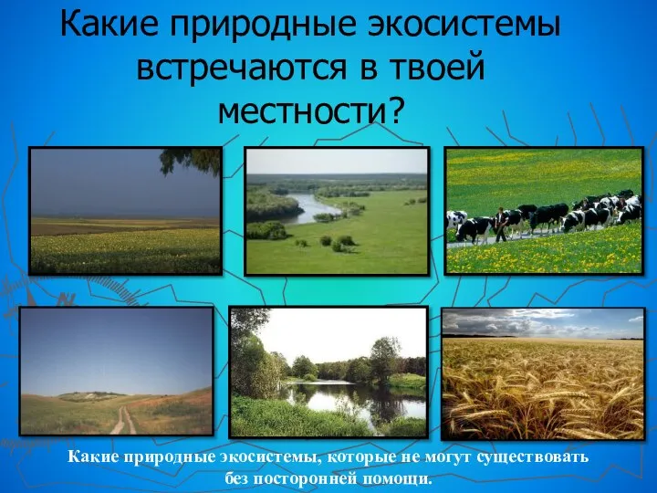 Какие природные экосистемы встречаются в твоей местности? Какие природные экосистемы, которые