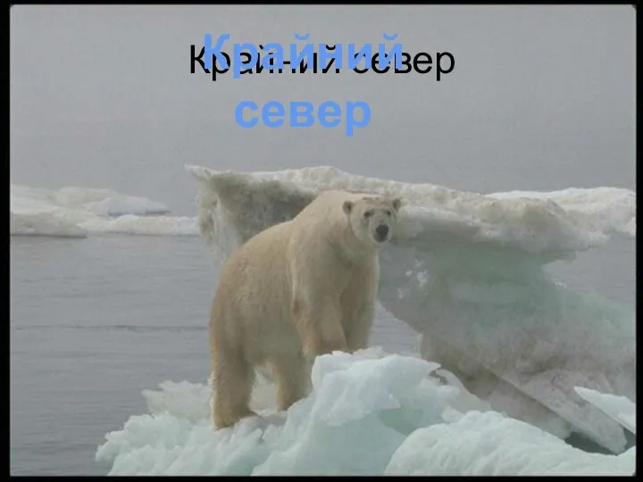 Крайний север Крайний север