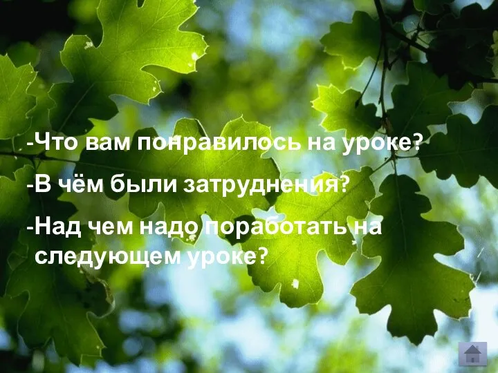 Что вам понравилось на уроке? В чём были затруднения? Над чем надо поработать на следующем уроке?