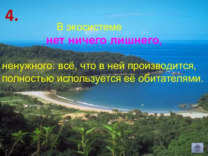 В экосистеме нет ничего лишнего, ненужного: всё, что в ней производится, полностью используется её обитателями. 4.