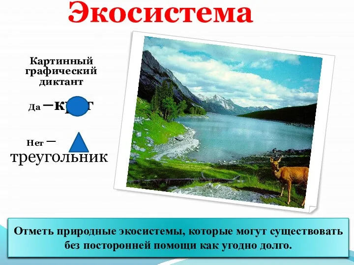 Экосистема Картинный графический диктант Да –круг Нет – треугольник Отметь природные