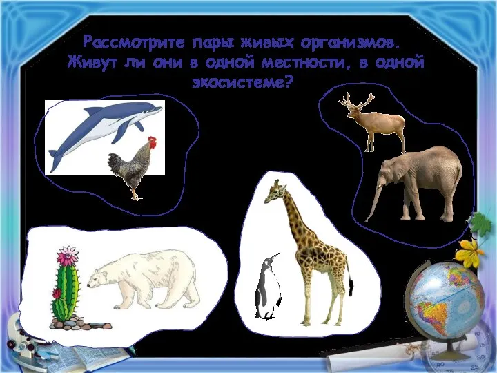 Рассмотрите пары живых организмов. Живут ли они в одной местности, в одной экосистеме?