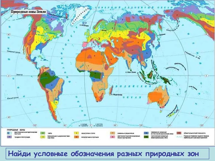 Найди условные обозначения разных природных зон