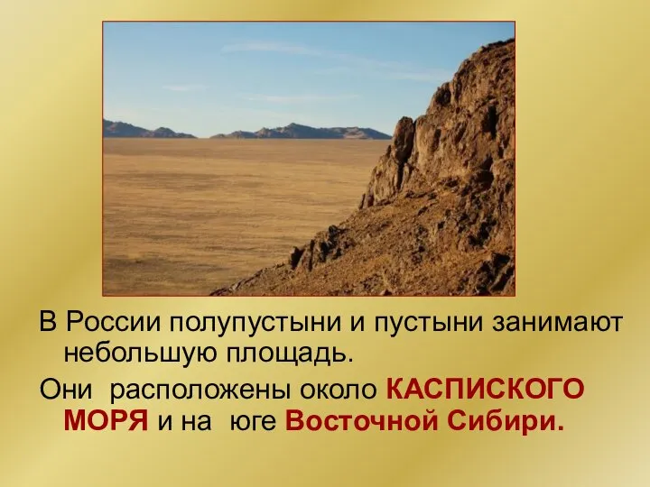 В России полупустыни и пустыни занимают небольшую площадь. Они расположены около