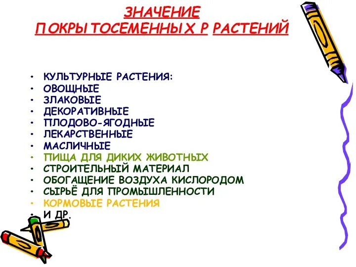 ЗНАЧЕНИЕ ПОКРЫТОСЕМЕННЫХ Р РАСТЕНИЙ КУЛЬТУРНЫЕ РАСТЕНИЯ: ОВОЩНЫЕ ЗЛАКОВЫЕ ДЕКОРАТИВНЫЕ ПЛОДОВО-ЯГОДНЫЕ ЛЕКАРСТВЕННЫЕ