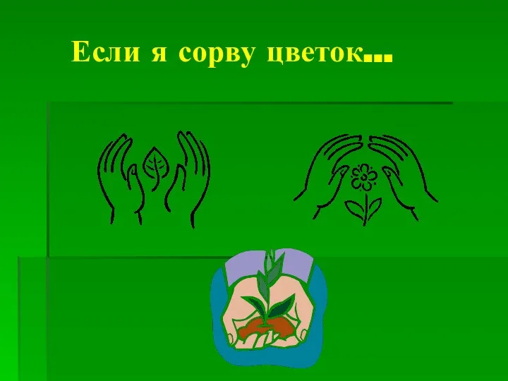 Если я сорву цветок…