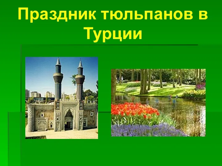 Праздник тюльпанов в Турции