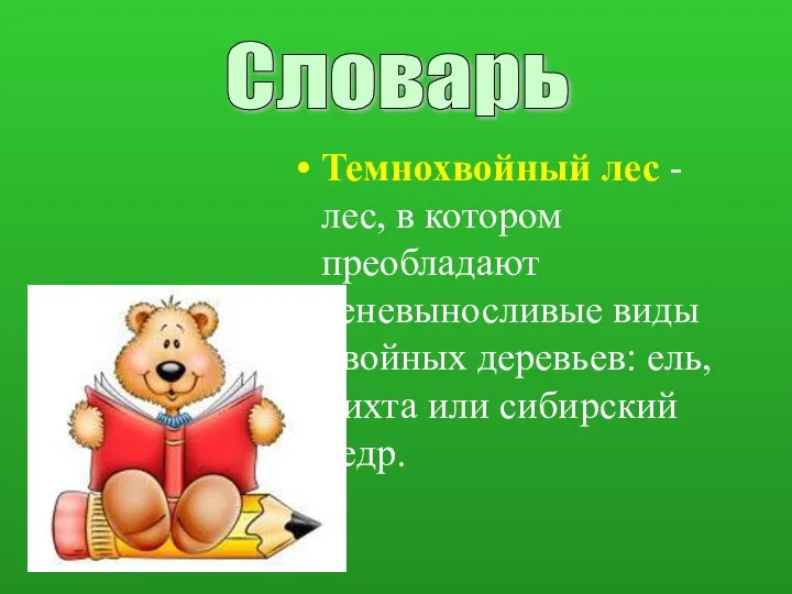 Темнохвойный лес - лес, в котором преобладают теневыносливые виды хвойных деревьев: