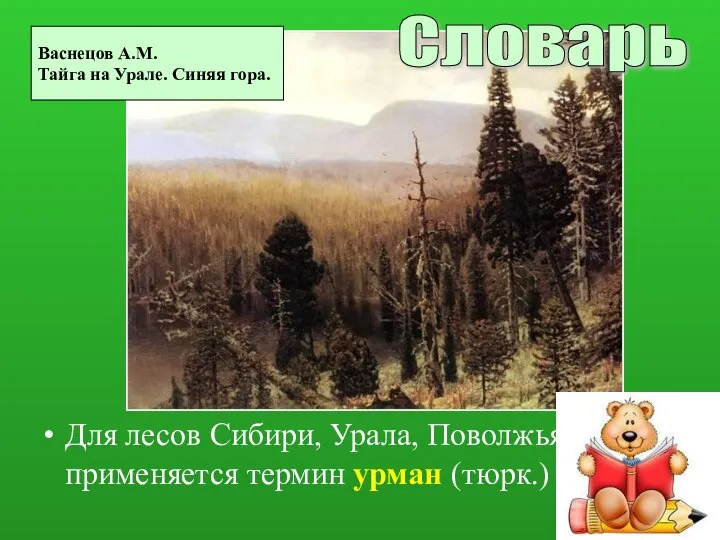 Для лесов Сибири, Урала, Поволжья применяется термин урман (тюрк.) Васнецов А.М.