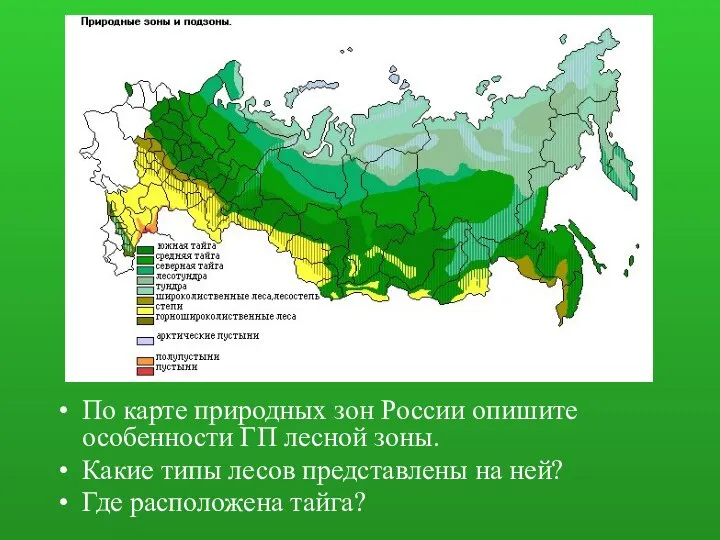 По карте природных зон России опишите особенности ГП лесной зоны. Какие