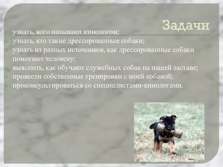 Задачи узнать, кого называют кинологом; узнать, кто такие дрессированные собаки; узнать