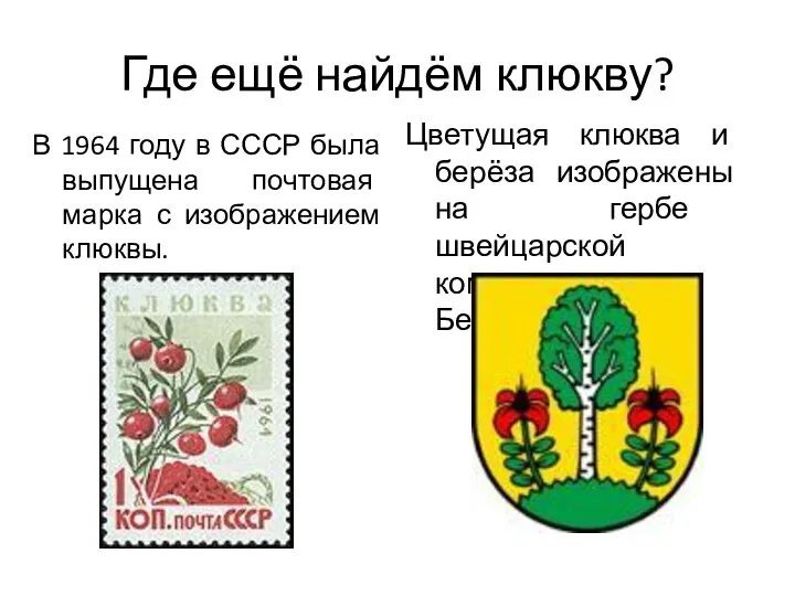 Где ещё найдём клюкву? В 1964 году в СССР была выпущена